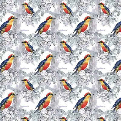 Platnena zatamnjujuća rolo zavjesa Šarena ptica