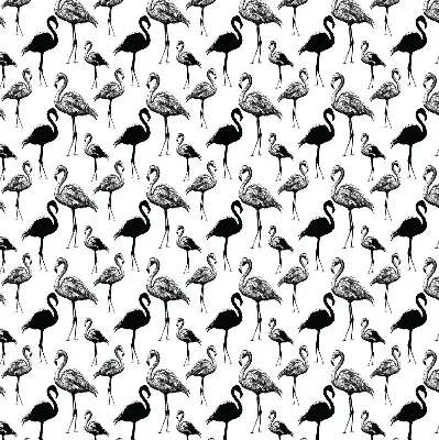 Zatamnjujuća rolo zavjesa za balkonska vrata Crni flamingosi