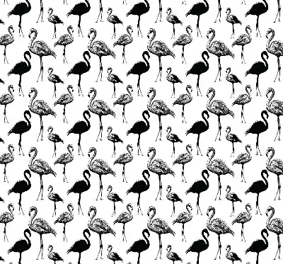 Zatamnjujuća rolo zavjesa za balkonska vrata Crni flamingosi