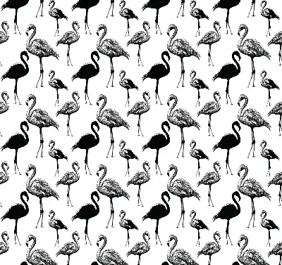 Zatamnjujuća rolo zavjesa za balkonska vrata Crni flamingosi