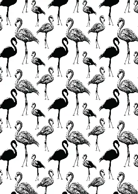 Zatamnjujuća rolo zavjesa za balkonska vrata Crni flamingosi