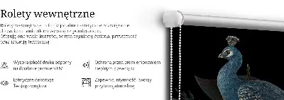 Zatamnjujuća rolo zavjesa za prozor Patki u zelenom
