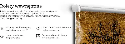 Unutarnja zatamnjujuća rolo zavjesa za prozor Jelen noću