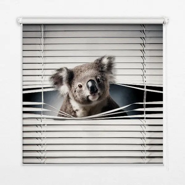 Zatamnjujuća rolo zavjesa za prozor Koala