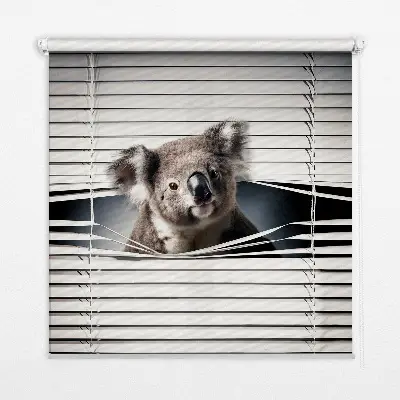 Zatamnjujuća rolo zavjesa za prozor Koala