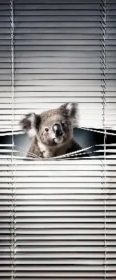 Zatamnjujuća rolo zavjesa za prozor Koala
