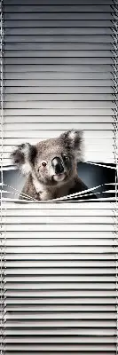 Zatamnjujuća rolo zavjesa za prozor Koala