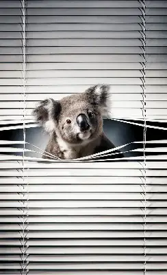 Zatamnjujuća rolo zavjesa za prozor Koala