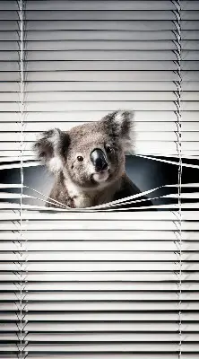 Zatamnjujuća rolo zavjesa za prozor Koala