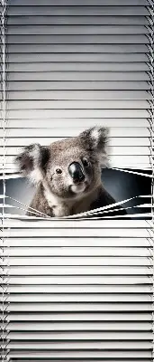 Zatamnjujuća rolo zavjesa za prozor Koala