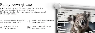 Zatamnjujuća rolo zavjesa za prozor Koala