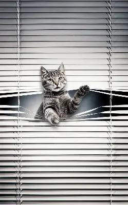 Unutarnja zatamnjujuća rolo zavjesa Mačka