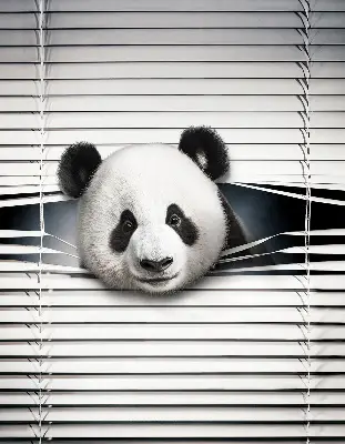 Unutarnja zatamnjujuća rolo zavjesa za prozor Panda
