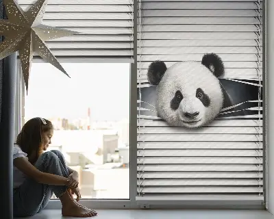 Unutarnja zatamnjujuća rolo zavjesa za prozor Panda