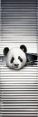 Unutarnja zatamnjujuća rolo zavjesa za prozor Panda