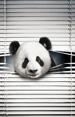 Unutarnja zatamnjujuća rolo zavjesa za prozor Panda