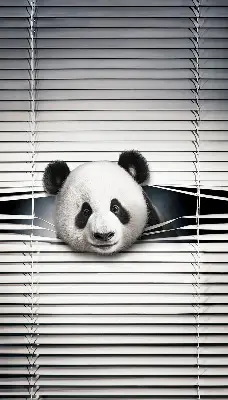 Unutarnja zatamnjujuća rolo zavjesa za prozor Panda