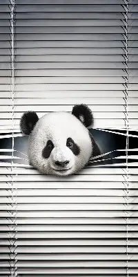 Unutarnja zatamnjujuća rolo zavjesa za prozor Panda