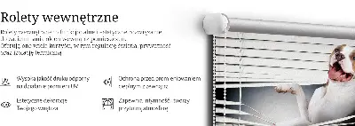Zatamnjujuća rolo zavjesa za prozor Pas