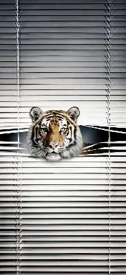 Zatamnjujuća rolo zavjesa za balkonska vrata Tigar