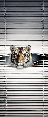 Zatamnjujuća rolo zavjesa za balkonska vrata Tigar