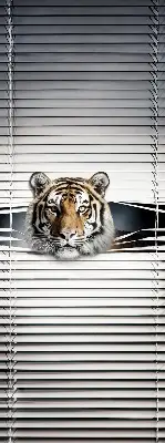 Zatamnjujuća rolo zavjesa za balkonska vrata Tigar