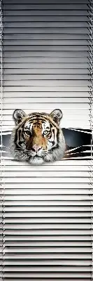 Zatamnjujuća rolo zavjesa za balkonska vrata Tigar
