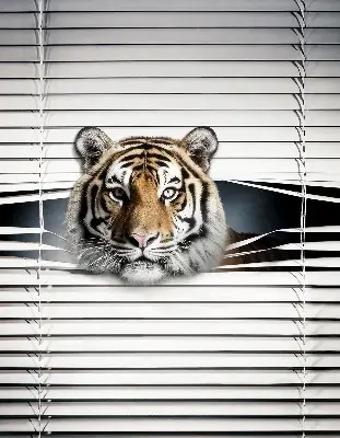 Zatamnjujuća rolo zavjesa za balkonska vrata Tigar
