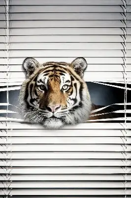 Zatamnjujuća rolo zavjesa za balkonska vrata Tigar