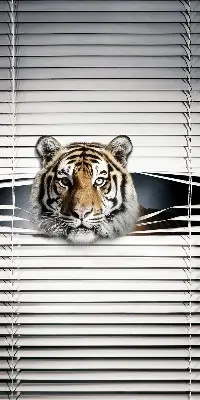 Zatamnjujuća rolo zavjesa za balkonska vrata Tigar