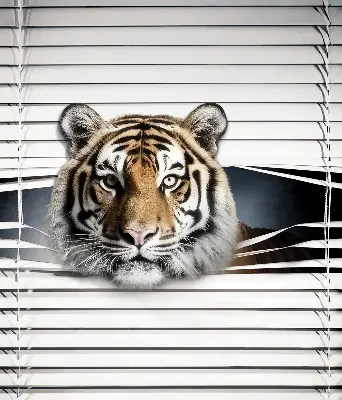 Zatamnjujuća rolo zavjesa za balkonska vrata Tigar