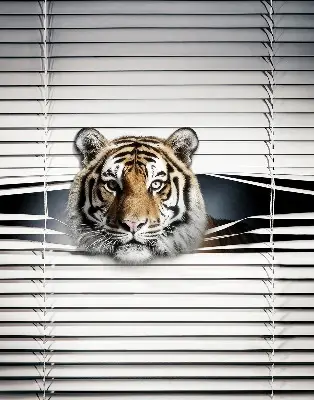 Zatamnjujuća rolo zavjesa za balkonska vrata Tigar