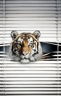 Zatamnjujuća rolo zavjesa za balkonska vrata Tigar