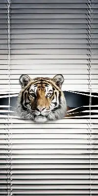 Zatamnjujuća rolo zavjesa za balkonska vrata Tigar