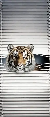 Zatamnjujuća rolo zavjesa za balkonska vrata Tigar
