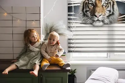Zatamnjujuća rolo zavjesa za balkonska vrata Tigar