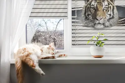Zatamnjujuća rolo zavjesa za balkonska vrata Tigar
