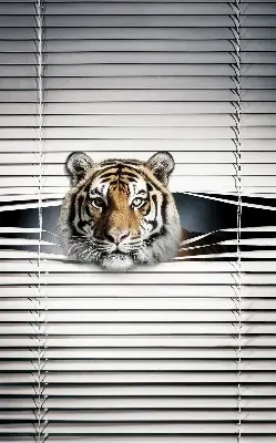 Zatamnjujuća rolo zavjesa za balkonska vrata Tigar