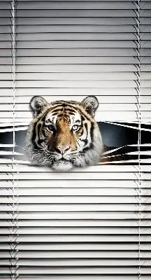 Zatamnjujuća rolo zavjesa za balkonska vrata Tigar