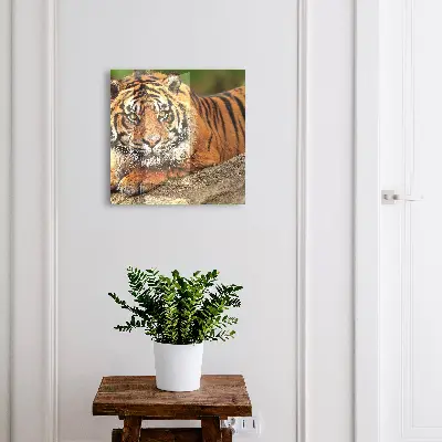 Kutija za ključeve Tigar se odmara