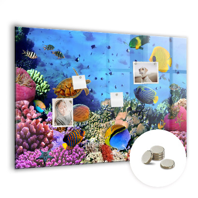 Magnetna ploča za djecu Podvodni Život