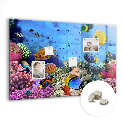 Magnetna ploča za djecu Podvodni Život
