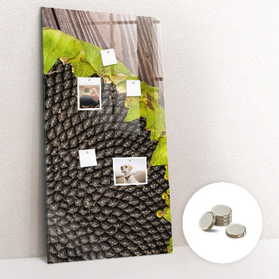 Magnetna ploča za zid Sjemenke suncokreta