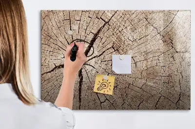 Magnetna suhobrisiva ploča motiva starog debla