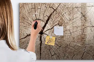 Magnetna suhobrisiva ploča motiva starog debla
