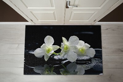 Otirač za vrata Cvjetovi orhideja