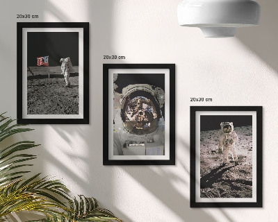 Komplet slika u okviru Fotografije slijetanja astronauta na Mjesec