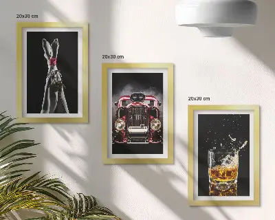Set 3 slike u okviru ženske noge s ružom, starim automobilom i čašom viskija