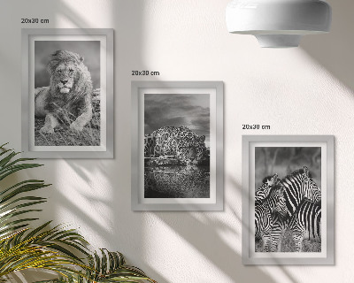 Komplet slika u okviru Divlje životinje savane: lav, jaguar i zebra