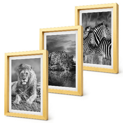 Komplet slika u okviru Divlje životinje savane: lav, jaguar i zebra